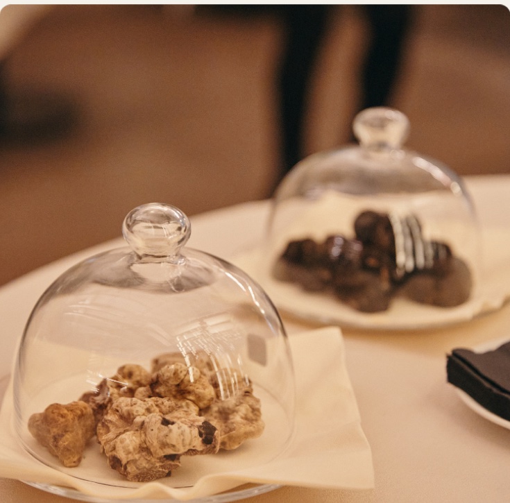 Tartufo Bianco Pregiato e Tartufo Nero conservati sotto campana di vetro
